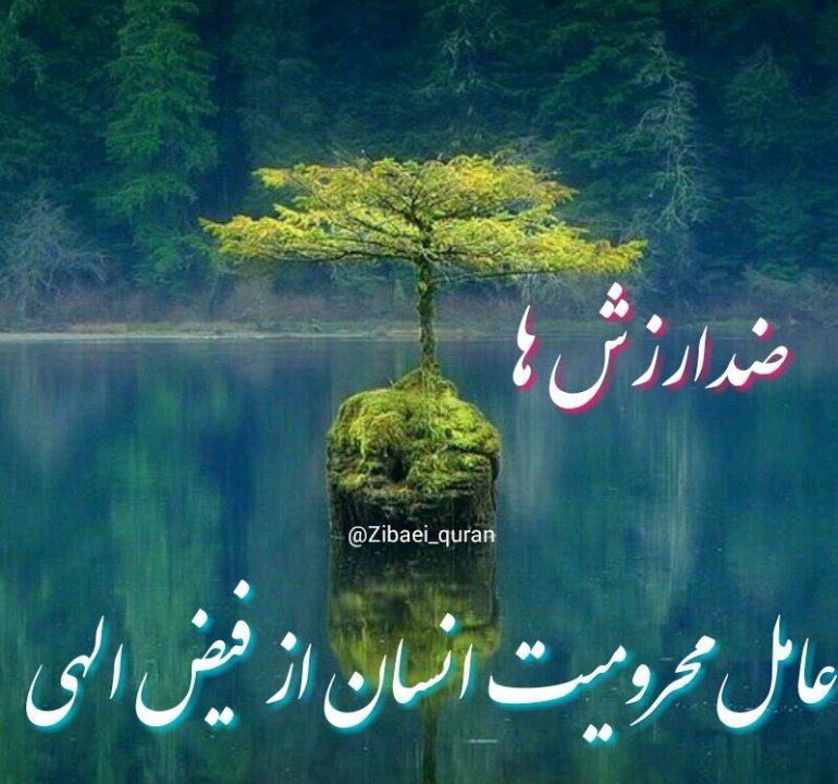 ضد ارزشی