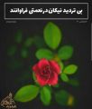 میلاد امام رضا علیه السلام مبارک باد